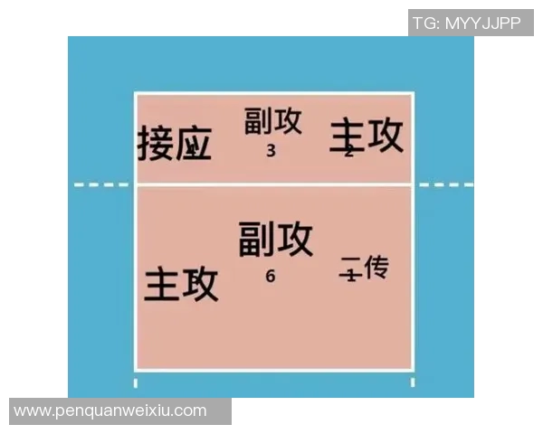 北京排球队灵活性对比分析揭示战术优势与发展潜力