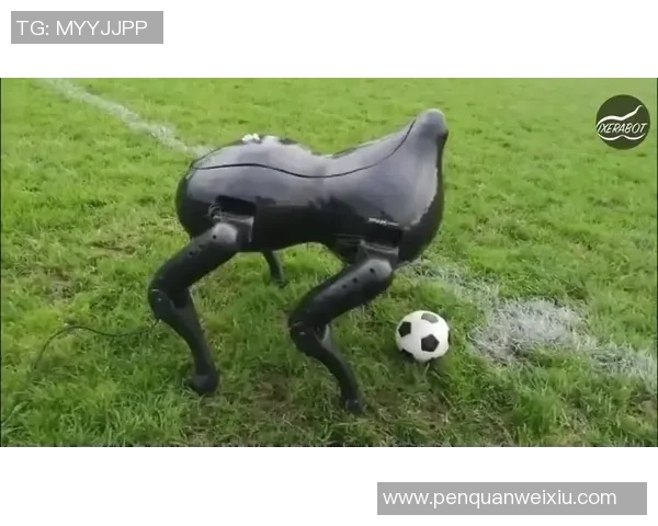 足球明星的宠物选择揭秘他们最爱的四足伙伴与生活方式 足球明星的宠物选择揭秘他们最爱的四足伙伴与生活方式